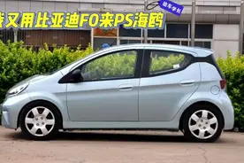 我又用比亚迪F0来PS改造海鸥了，大家不要再夸我了