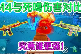 M4与死噶伤害对比！究竟谁更强！