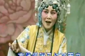 豫剧《打金枝》劝万岁你莫要动真气“豫东黑牡丹”黄爱菊演唱视频封面