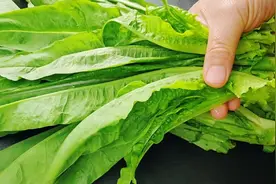 莴笋叶别扔了，学会这样做，开胃爽囗又营养，解腻减脂更健康视频封面