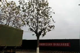 国家级枣阳经济开发区之一视频封面