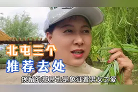 新疆北屯推荐三个一定要去的地方视频封面