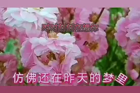 你在我心里位置无人可代替太好听了
