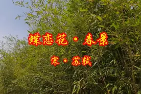 苏轼词作诵读和赏析[12〕，蝶恋花.春景，花褪残红青杏小，苏东坡视频封面