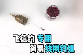 简易飞德线辫丸饵钓组，防小鱼，大鱼咬钩就吐不出来