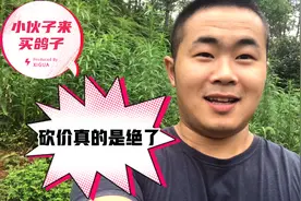 小伙子来买鸽子给外婆吃，这砍价真的是绝了 都不知道怎么去回他视频封面