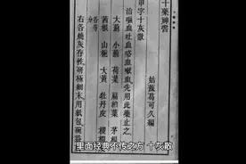 十灰散——中医不传之秘视频封面