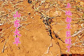 山东今年太特殊了，大旱快半年了，旱情太严重了，雨就盼不来了视频封面