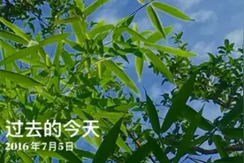 五年前的今天视频封面