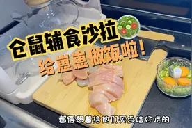 金丝熊｜仓鼠的辅食沙拉🥗