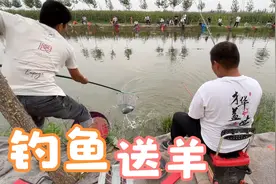 农村鱼塘垂钓，收费280元，大哥连杆不停上鱼，今天200斤鱼获稳了视频封面