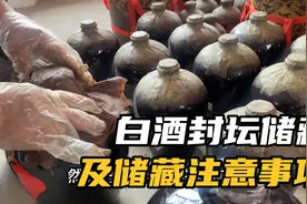 白酒储藏，古老的封坛技术：血料封坛，长期储藏，及储藏注意事项视频封面