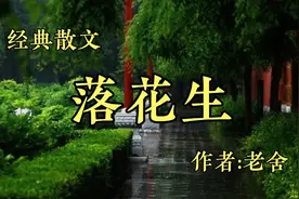 《落花生》作者，老舍视频封面