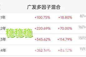 广发多因子混合真是只又帅又能打的基金！视频封面