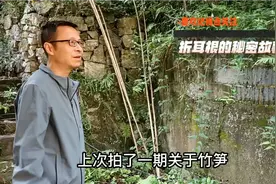 折耳根是鱼腥草吗？它有不为人知的秘密视频封面