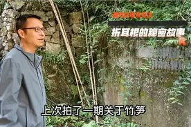 折耳根是鱼腥草吗？它有不为人知的秘密视频封面
