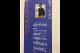 七届兰亭奖金奖获得者崔寒柏全部作品回放，有细节有颁奖词视频封面