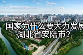 国家为什么要大力发展湖北省安陆市？视频封面