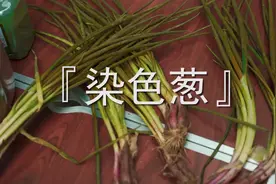 这种葱为什么会掉色？它的危害有多大？