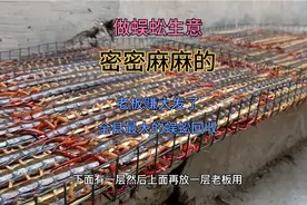 探访蜈蚣回收店，，密密麻麻的蜈蚣，老板赚大发了视频封面