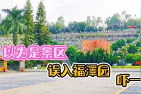 路过以为是景区，误入深圳福泽园，把我吓一跳视频封面