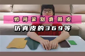 仿真皮也有分369等你知道吗？小陈教你一招分辨真假皮视频封面