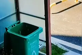 男子的做法你认为妥当吗？视频封面