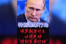 俄罗斯为什么必须发动特别军事行动？视频封面