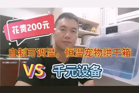 花费200元自制可调温，恒温宠物烘干箱，堪比千元设备视频封面