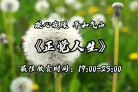 宝剑锋从磨砺出，梅花香自苦寒来，谱一曲风华三千听一曲正觉人生视频封面