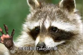 世界最大的哺乳动物视频封面