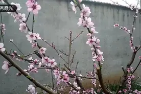 岁月挡不住的回忆视频封面