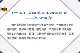 黄老师讲语文——文学类文本阅读题型之品析语言视频封面
