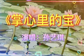 友友早上好听孙艺琪巜掌心里的宝》祝天下夫妻恩爱如初很好听的！视频封面