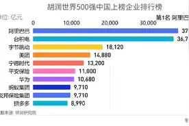 胡润世界500强（企业价值）中国上榜企业排行榜视频封面