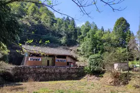 深山里木屋被大山环绕，装修豪华地板如新竟然没人住，这太可惜了视频封面