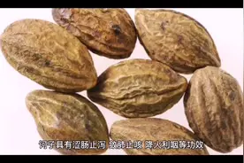 诃子视频封面