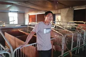 小伙养的母猪才怀孕2个月肚子就这么大，还说最少有20头以上视频封面