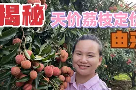 揭秘！巧妇九妹天价荔枝定价的由来，网店主给算成本，分析对吗视频封面