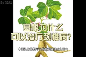 葛根为什么可以治疗颈椎病？视频封面