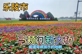 德州市乐陵境内的马颊河，乐陵南部新区即将通车的大桥！很美视频封面