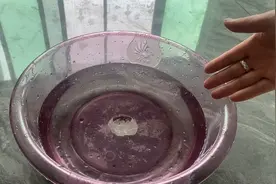 头皮屑多又痒怎么办？水里加两样东西，一星期头发都不油不痒视频封面