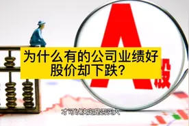 为什么有些公司业绩好，股价却下跌？视频封面