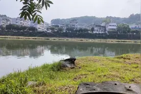 喜欢做的事，不厌其烦，听歌也是如此，从今天开始，爱你！视频封面