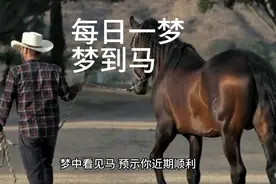 周公解梦之梦到马视频封面