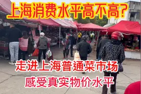 上海消费水平有多高？带你走进上海普通菜市场，感受最真实的物价视频封面