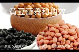 黄豆营养和功效视频封面