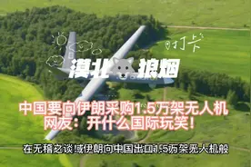 伊朗向中国出口1.5万架无人机，网友：那玩意我们真看不上视频封面