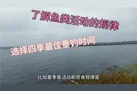 了解鱼类的活动规律，选择四季最佳垂钓时间。垂钓小知识。