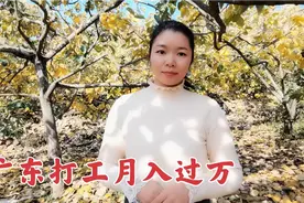 小青想去广东打工，表妹介绍工作轻松月入过万，到底是什么工作？视频封面